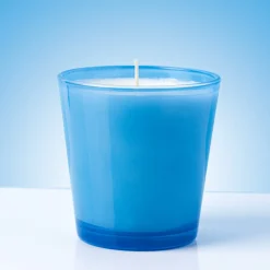 Nature's Garden 6 oz Blue Glass Candle Jar (Case of 12) New