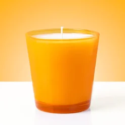 Nature's Garden 6 oz Orange Glass Candle Jar (Case of 12) Discount
