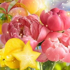 Nature's Garden A Thousand Dreams Fragrance Oil Online