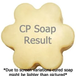 Nature's Garden Acai Berry Fragrance Oil Discount