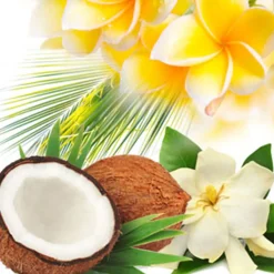 Nature's Garden Aloha Fragrance Oil New