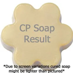 Nature's Garden Amber Fragrance Oil Clearance