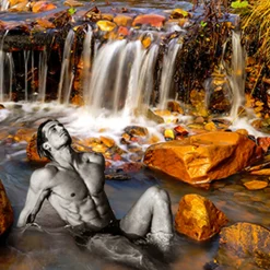 Nature's Garden Amber Waters Fragrance Oil Clearance