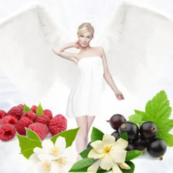 Nature's Garden Angel Love Fragrance Oil Online