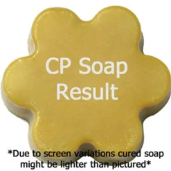 Nature's Garden Apple Mango Cider Fragrance Oil Best