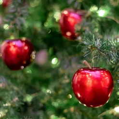 Nature's Garden Apple Noel Fragrance Oil Sale