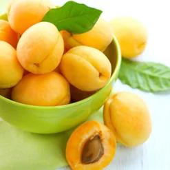 Nature's Garden Apricot Fragrance Oil Best