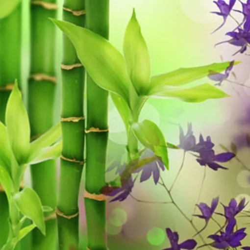 Nature's Garden Australian Bamboo Grass Fragrance Oil Sale