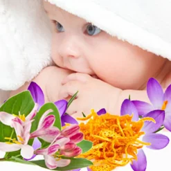Nature's Garden Baby Clean Fragrance Oil Sale