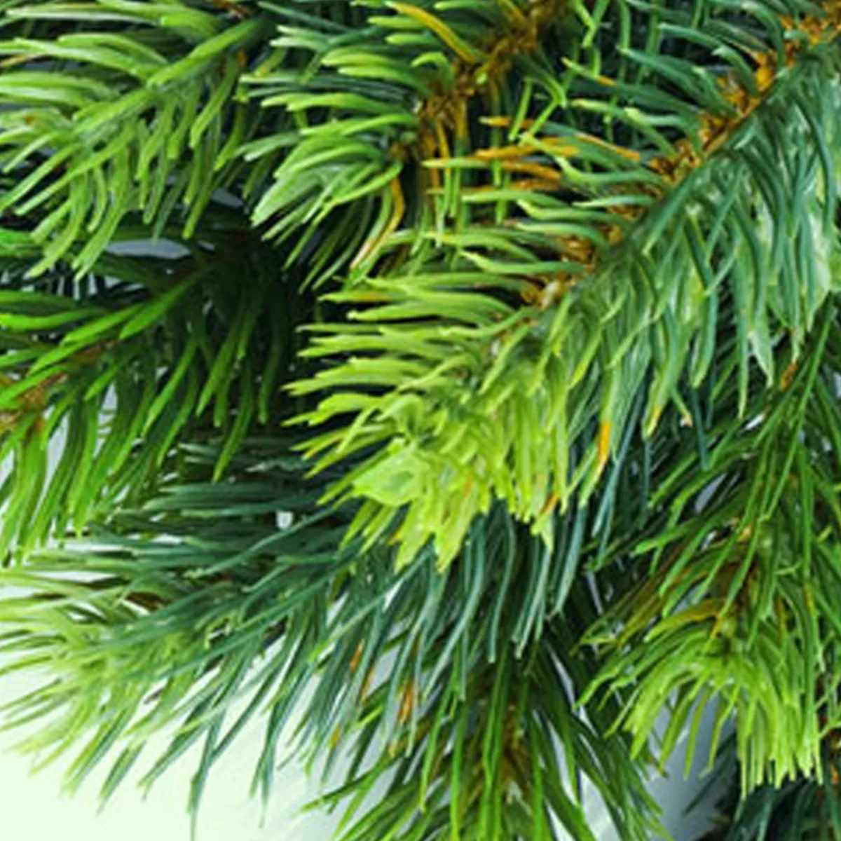 Nature's Garden Balsam Fragrance Oil Sale