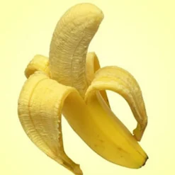 Nature's Garden Banana (True) Fragrance Oil Outlet