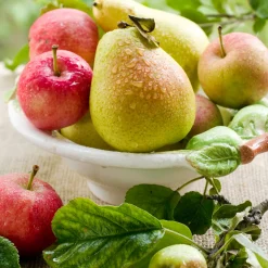 Nature's Garden Bartlett Pear and Apple Natural Fragrance Oil Clearance