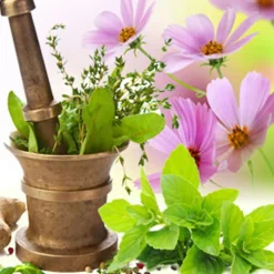 Nature's Garden Basil Sage Mint Fragrance Oil Sale