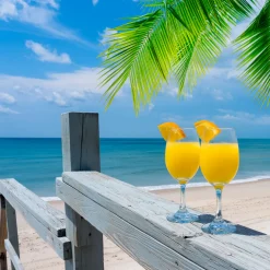 Nature's Garden Beachside Mimosa Fragrance Oil Hot