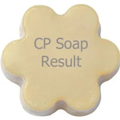 Nature's Garden Beachwood Vetiver Fragrance Oil New