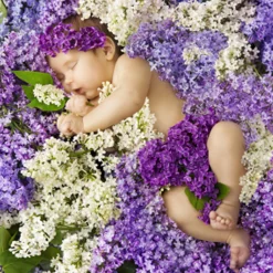 Nature's Garden Bedtime Baby Fragrance Oil Sale