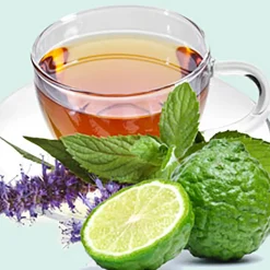 Nature's Garden Bergamot and Tarragon Leaves Fragrance Oil New