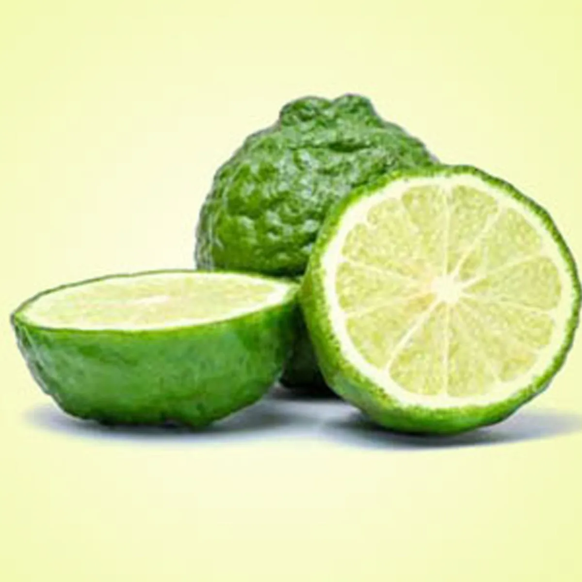 Nature's Garden Bergamot Fragrance Oil Hot