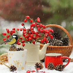 Nature's Garden Berry Merry Christmas Fragrance Oil Clearance