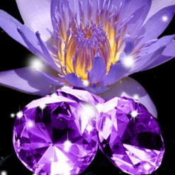 Nature's Garden Blackened Amethyst Fragrance Oil Sale