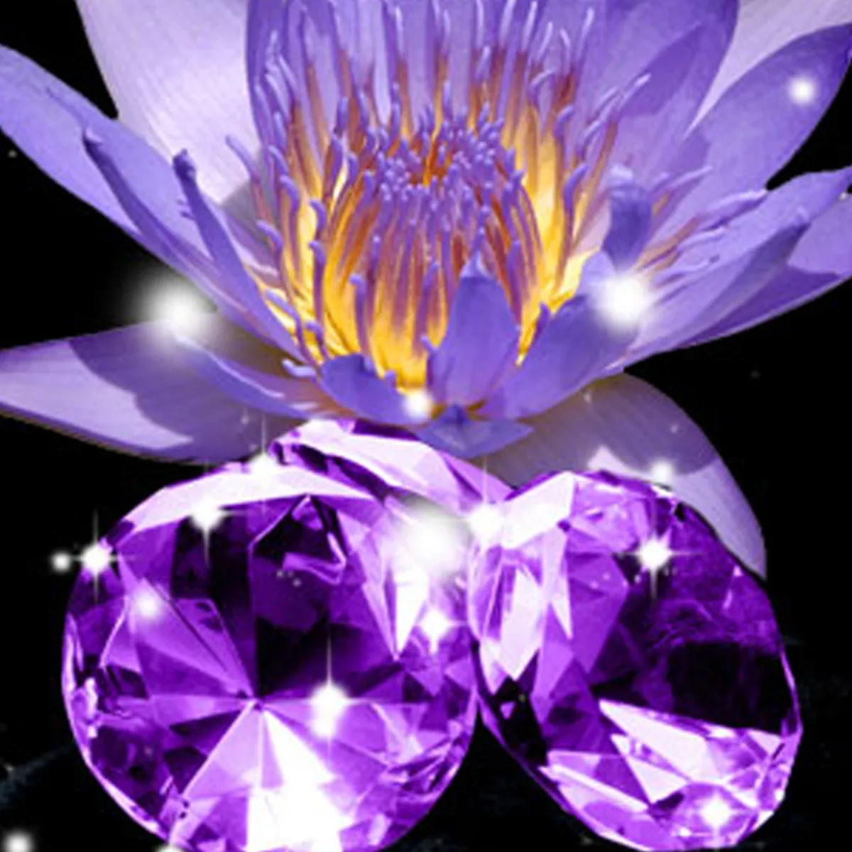 Nature's Garden Blackened Amethyst Fragrance Oil Sale