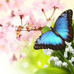 Nature's Garden Butterfly Hugs Fragrance Oil Discount