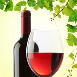Nature's Garden Cabernet Sauvignon Wine Fragrance Oil Outlet