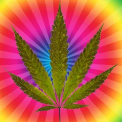 Nature's Garden Cannabis Flower Fragrance Oil Sale