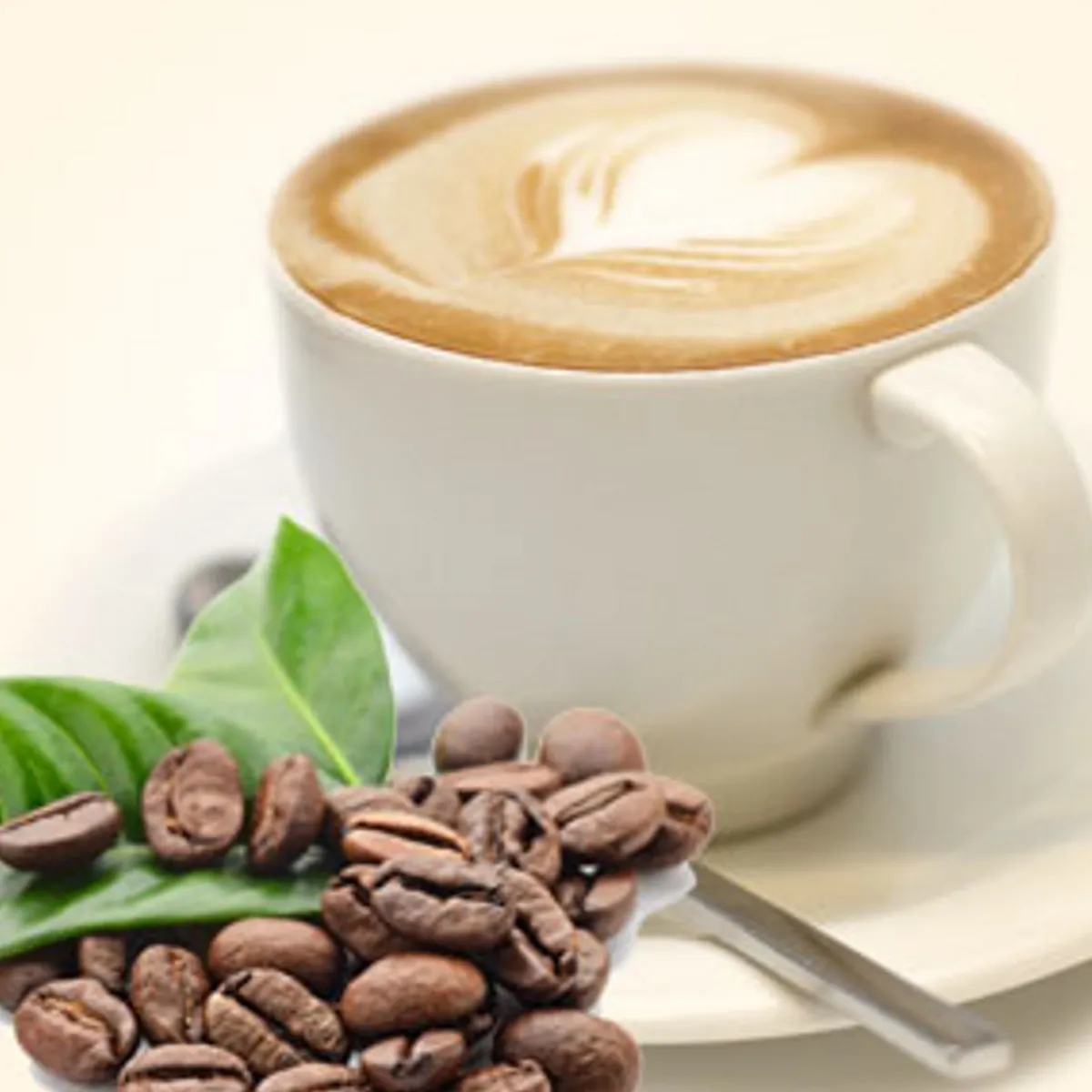 Nature's Garden Cappuccino Fragrance Oil Discount