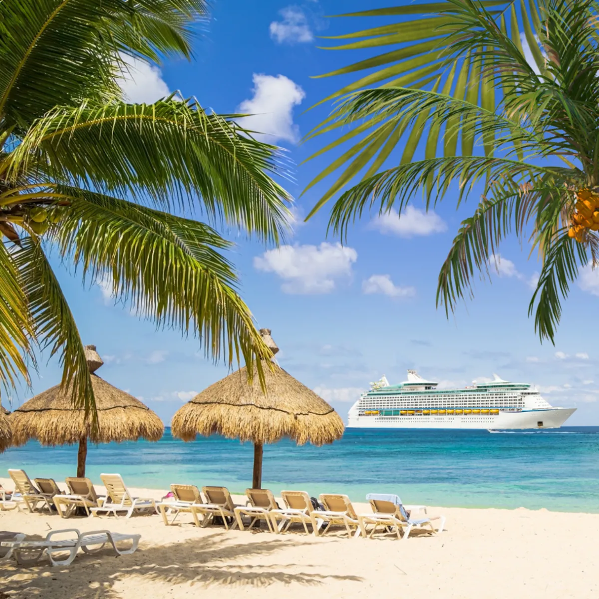 Nature's Garden Caribbean Fragrance Oil New