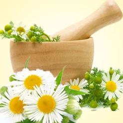 Nature's Garden Chamomile Fragrance Oil New