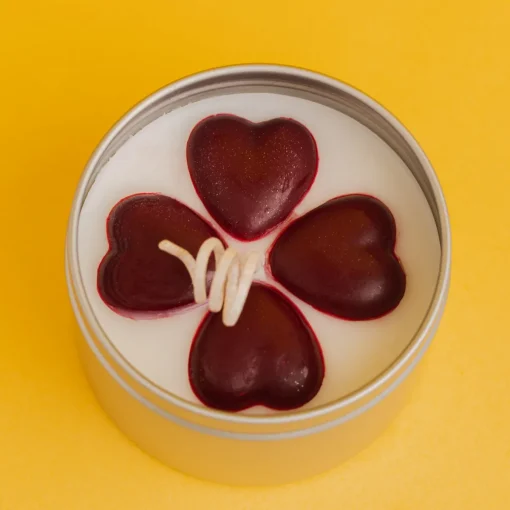 Nature's Garden Cherry Love Candle Kit Hot