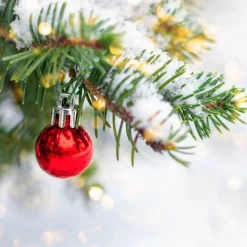 Nature's Garden Christmas Fir Fragrance Oil Online