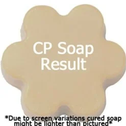 Nature's Garden Class & Sass Fragrance Oil Sale