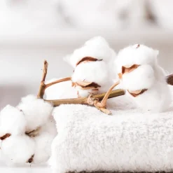 Nature's Garden Clean Fresh Cotton Fragrance Oil Clearance