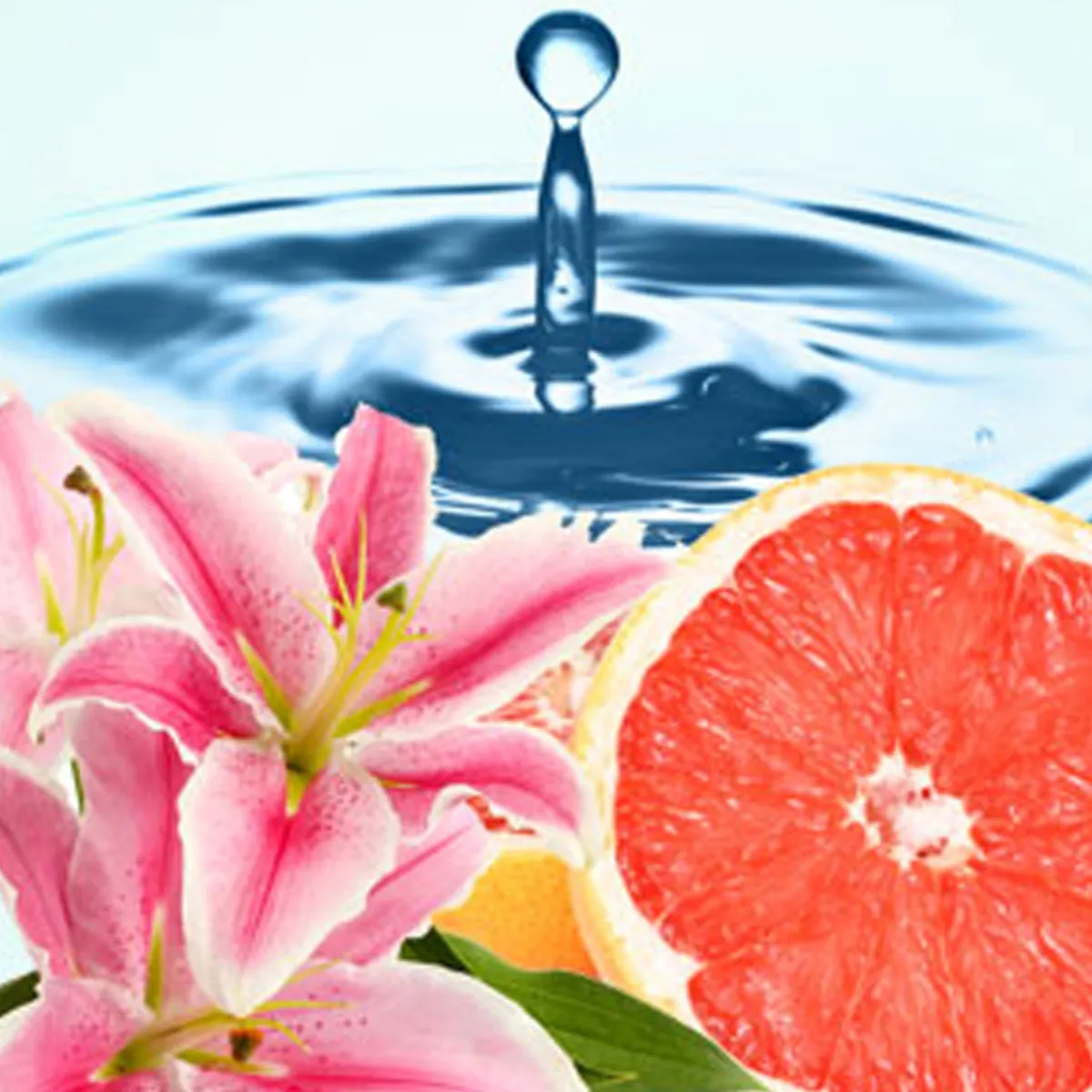 Nature's Garden Clean Type Fragrance Oil Sale