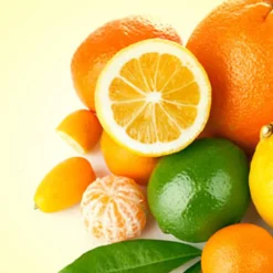 Nature's Garden Clementine Fragrance Oil Outlet