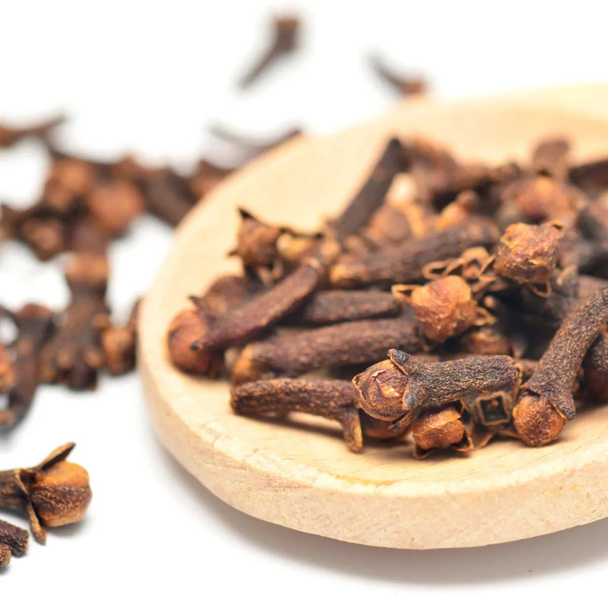 Nature's Garden Clove Fragrance Oil Clearance