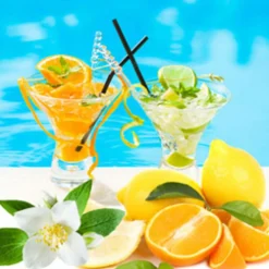 Nature's Garden Cocktails by the Pool Fragrance Oil Discount