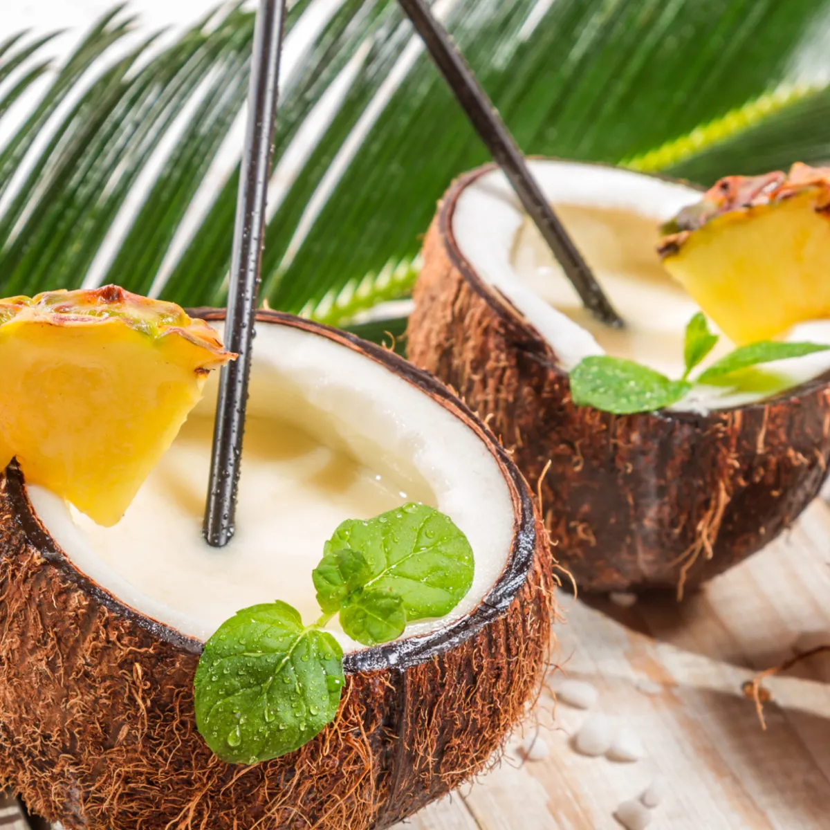 Nature's Garden Coconut Cabana Fragrance Oil Clearance