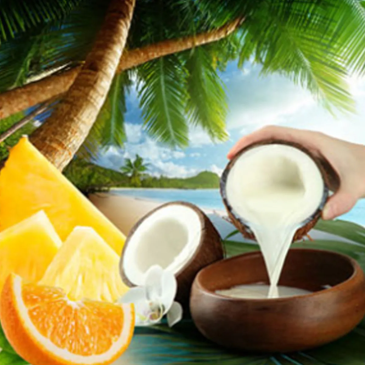 Nature's Garden Coconut Coast Fragrance Oil Discount