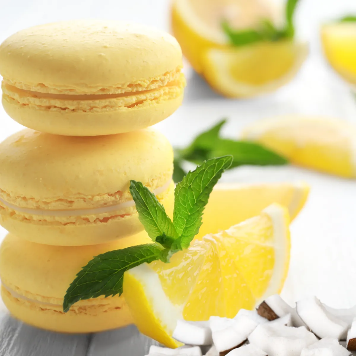Nature's Garden Coconut Lemon Macaron Natural Fragrance Oil