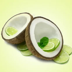 Nature's Garden Coconut Lime Verbana Fragrance Oil New