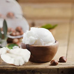 Nature's Garden Coconut Shea Fragrance Oil