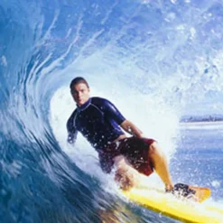 Nature's Garden Cool Clear Water Fragrance Oil Hot