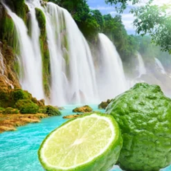 Nature's Garden Cool Spring Fragrance Oil New