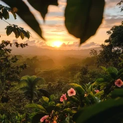 Nature's Garden Costa Rica: Pura Vida Sunrise Fragrance Oil Clearance