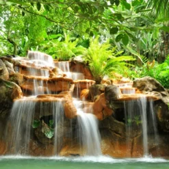 Nature's Garden Costa Rican Rainforest Fragrance Oil