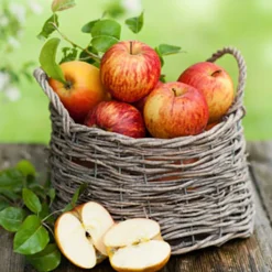 Nature's Garden Country Apple Fragrance Oil Online