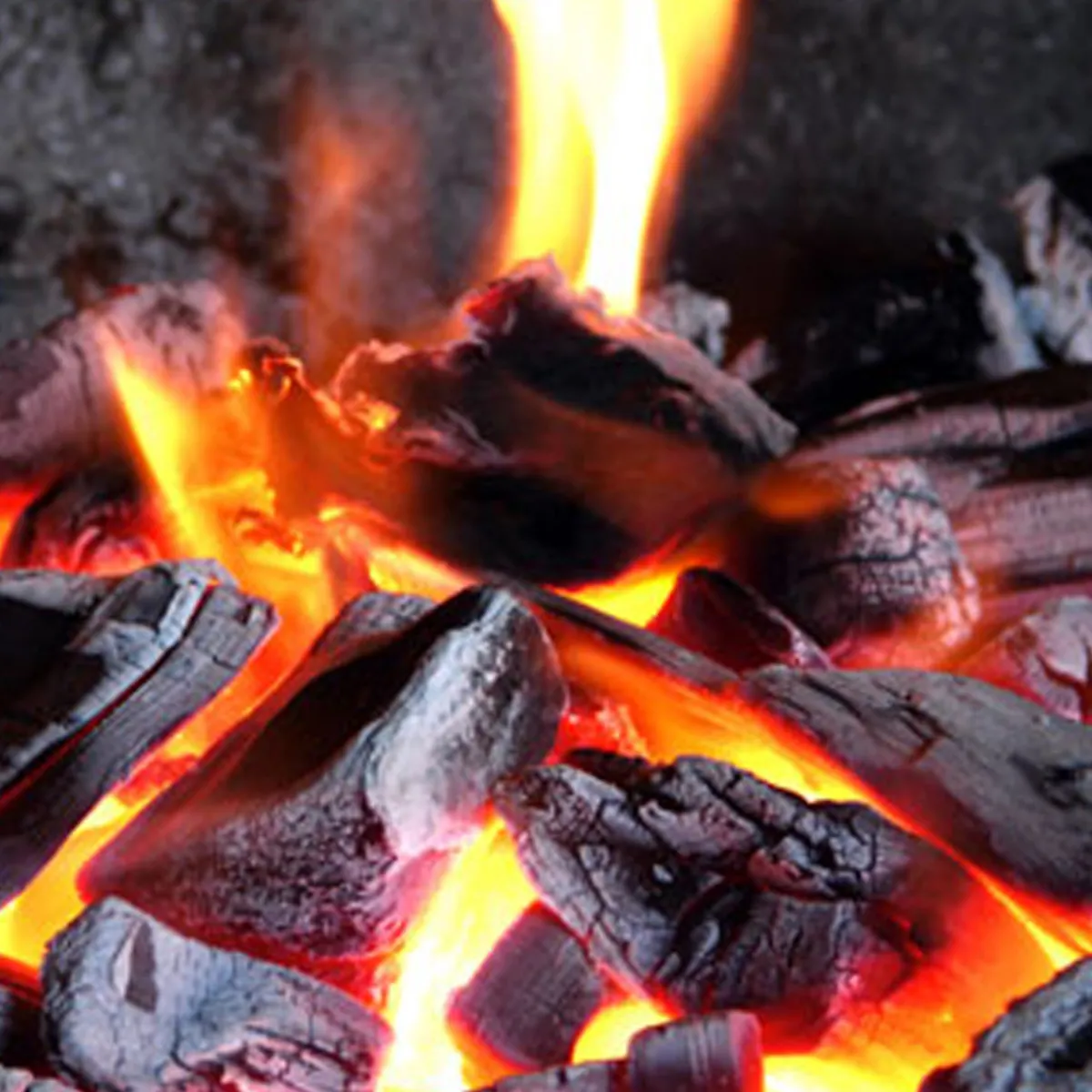 Nature's Garden Crackling Firewood Fragrance Oil Sale